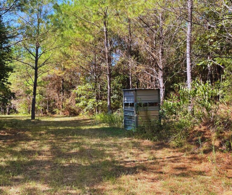 Copy of Untitled Design(29)