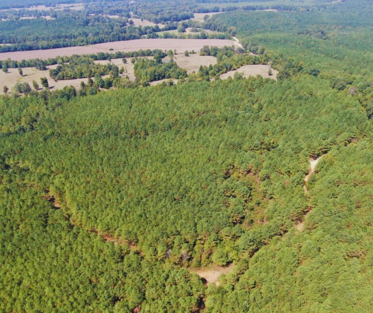 Copy of Untitled Design(37)