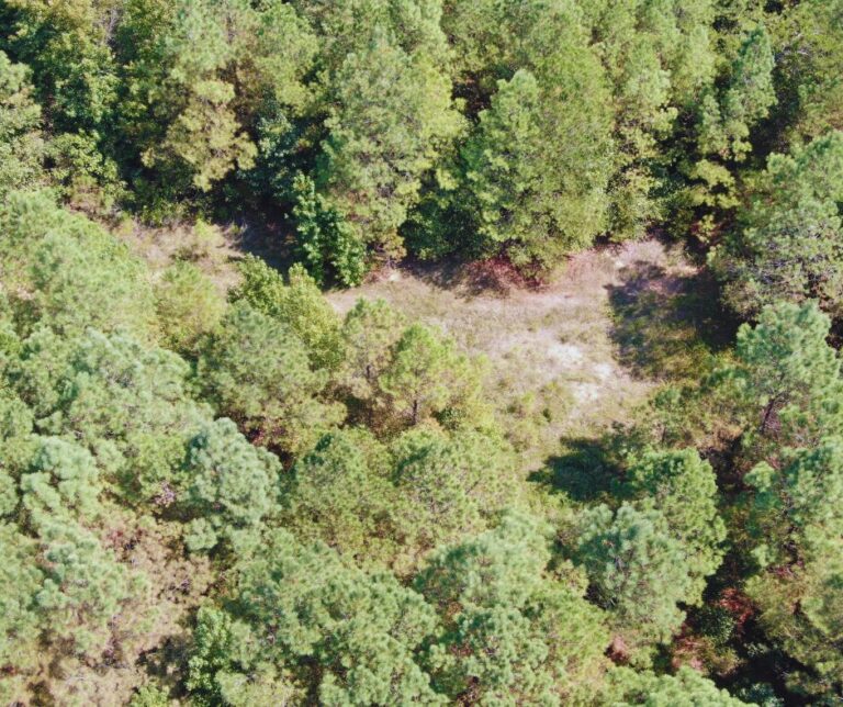 Copy of Untitled Design(43)