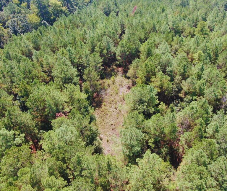 Copy of Untitled Design(44)