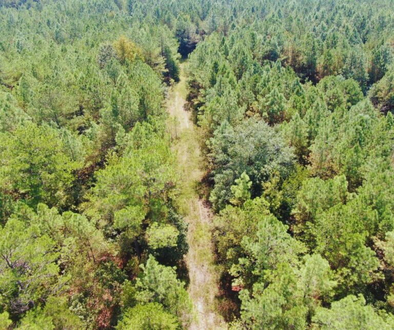 Copy of Untitled Design(45)