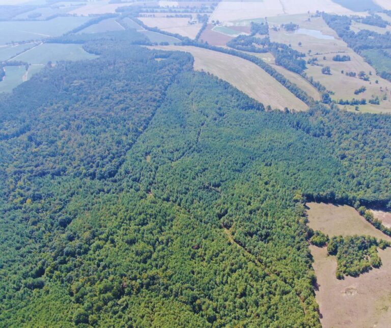 Copy of Untitled Design(47)