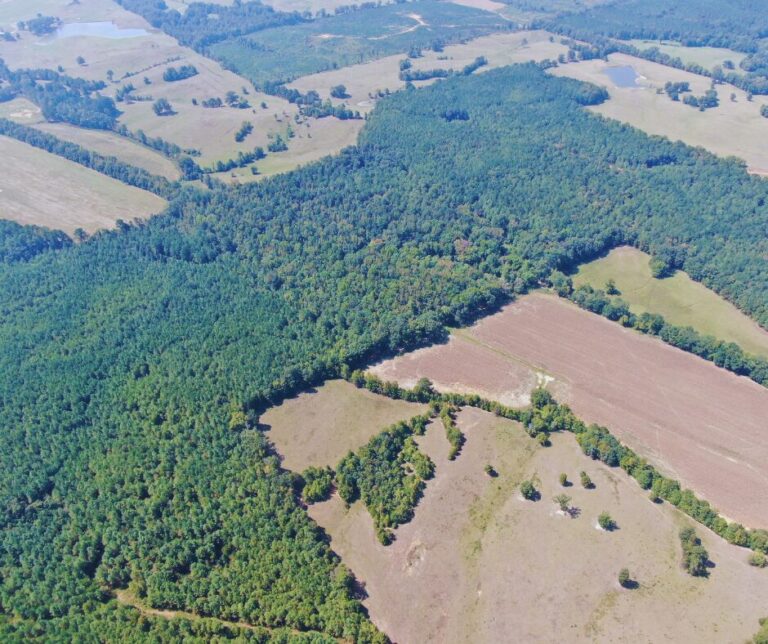 Copy of Untitled Design(48)