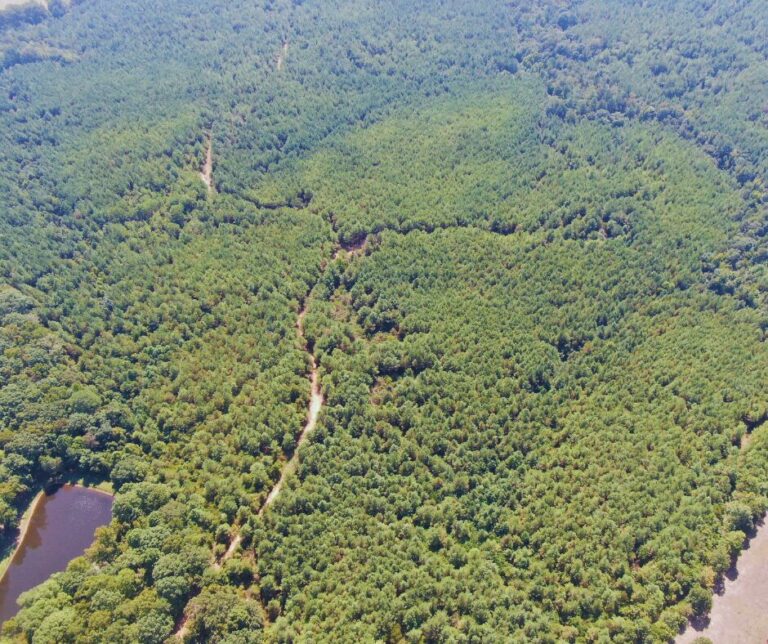 Copy of Untitled Design(49)