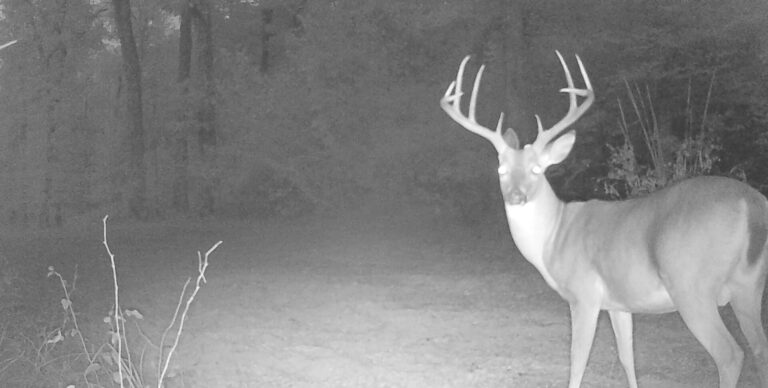 1826:101722:63F:MARK 01   :6