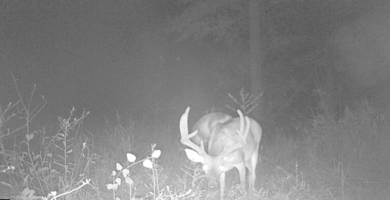 2012:081223:65F:MARK 01   :7