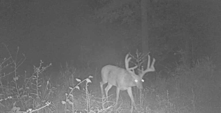 1140:081723:72F:MARK 01   :1