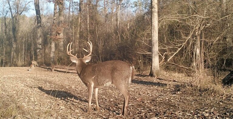 0752:121722:36F:MARK 01   :6