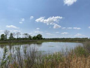 buying a diverse property