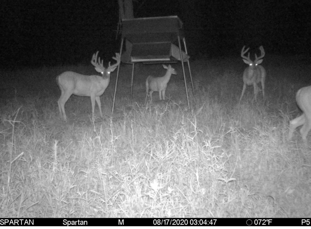 improve deer numbers on land