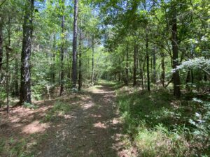 tips for buying rural land