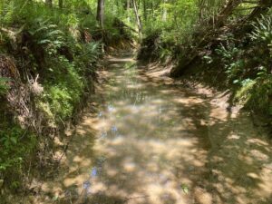 questions to ask when buying land