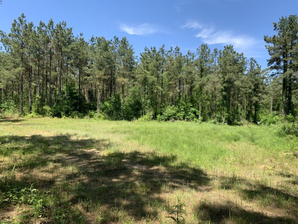 what to ask when buying land