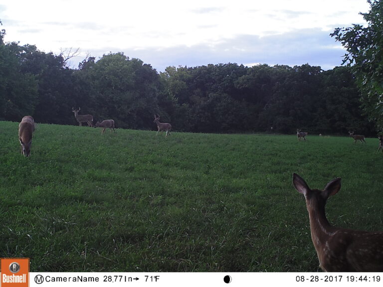 M2E65L114-114R430B400