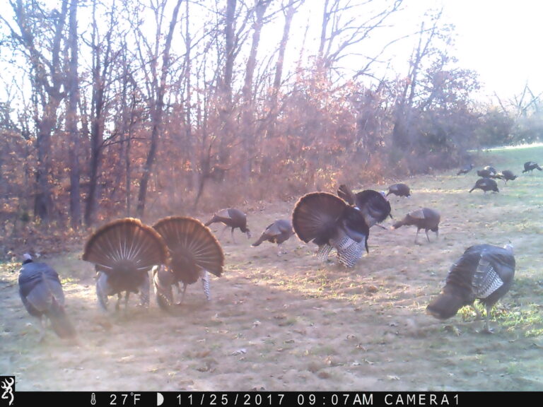 0907:112517:27F:CAMERA1   :2