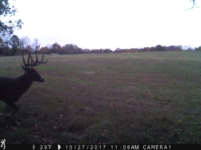 1106:102717:29F:CAMERA1   :2