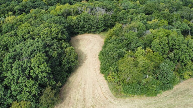 DCIM100MEDIADJI_0860