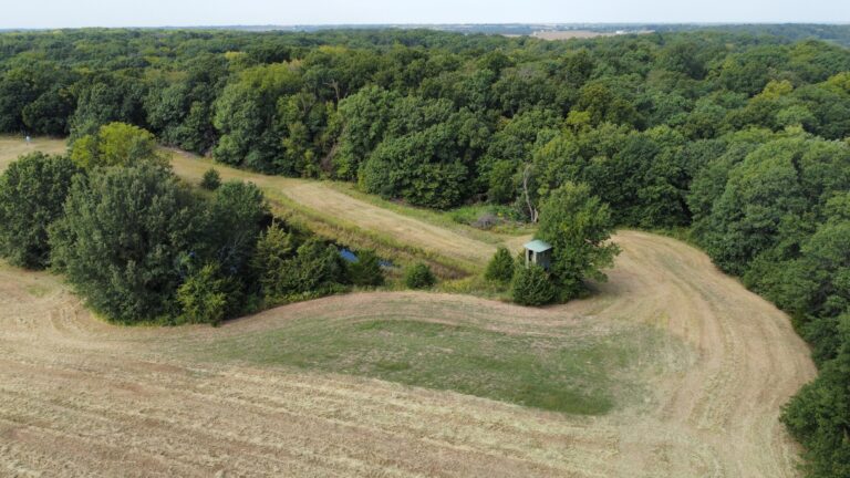 DCIM100MEDIADJI_0866