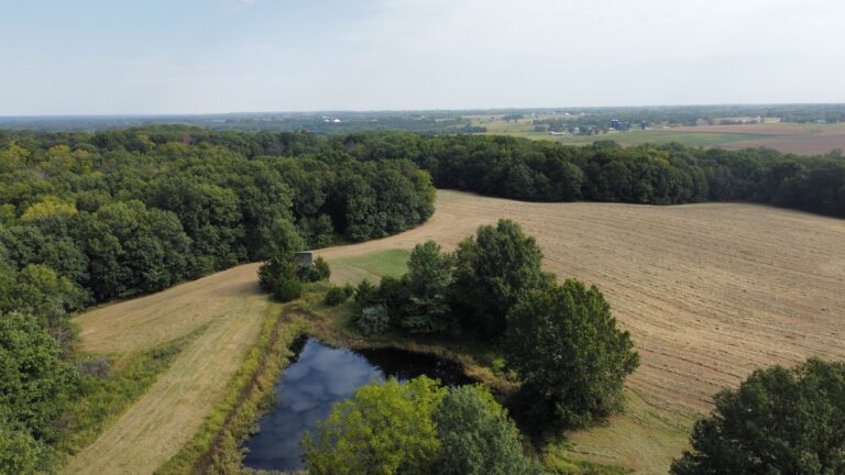 DCIM100MEDIADJI_0871