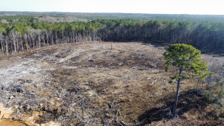 DCIM100MEDIADJI_0939