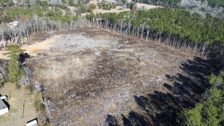 DCIM100MEDIADJI_0941