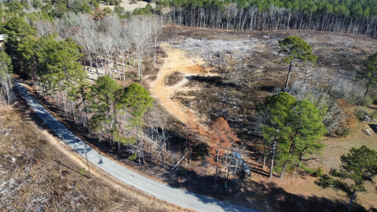 DCIM100MEDIADJI_0942