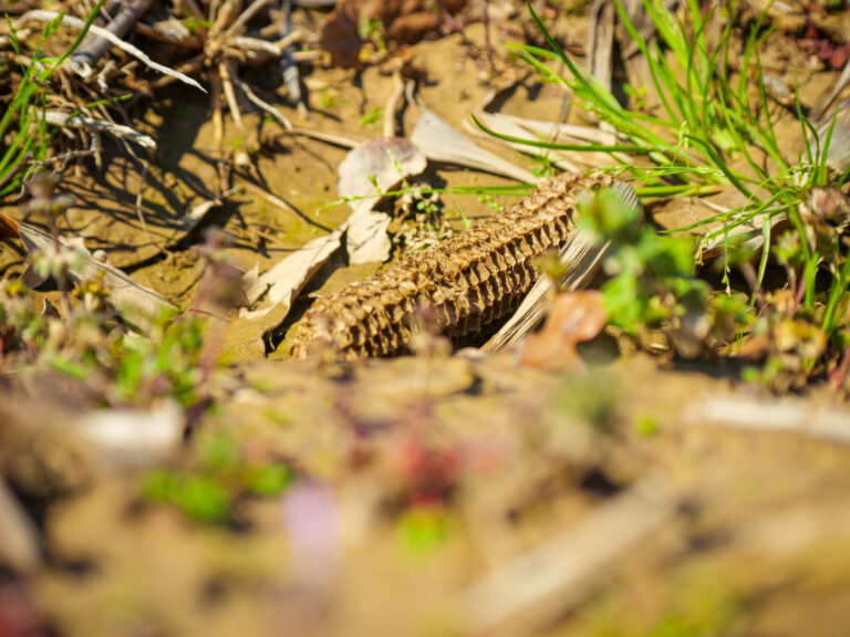 Carroll County, MS PhotosLeflore County, MS Photos-57