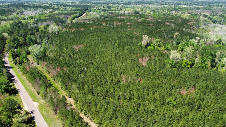 DCIM101MEDIADJI_0151