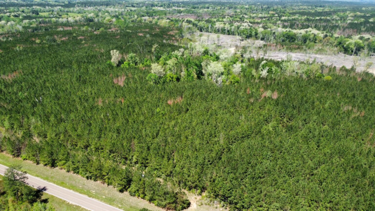 DCIM101MEDIADJI_0152