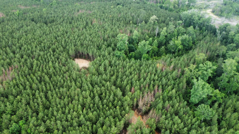 DCIM101MEDIADJI_0247