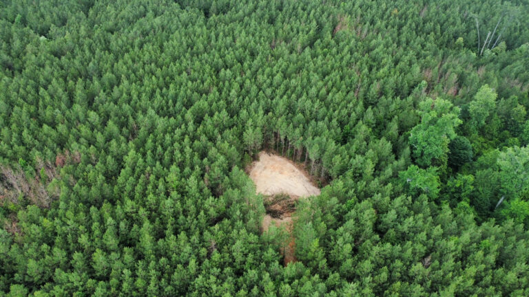 DCIM101MEDIADJI_0248