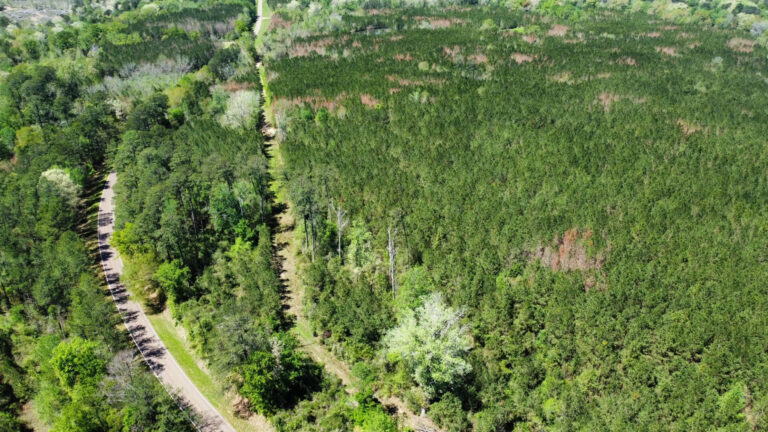 DCIM101MEDIADJI_0155