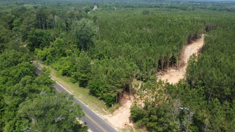 DCIM101MEDIADJI_0810