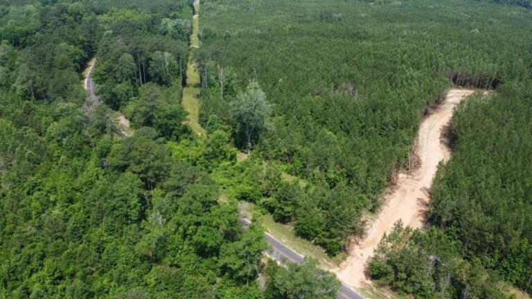 DCIM101MEDIADJI_0811