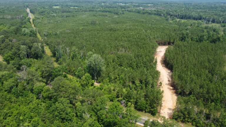 DCIM101MEDIADJI_0812