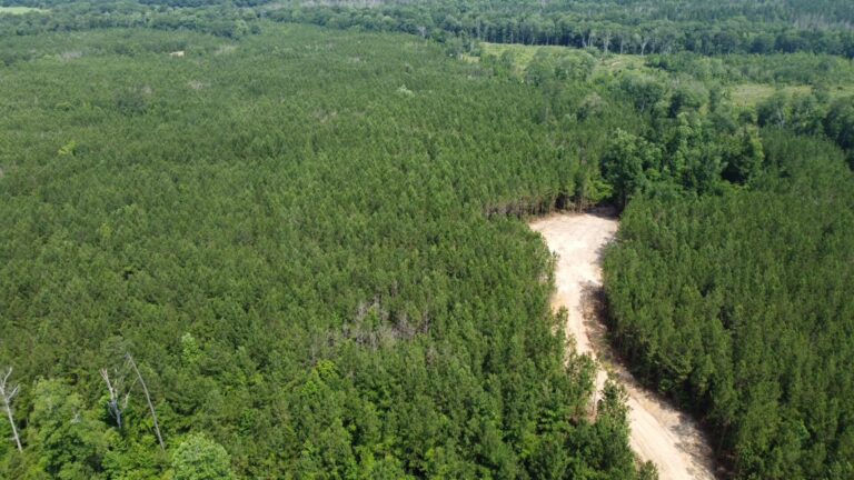 DCIM101MEDIADJI_0813