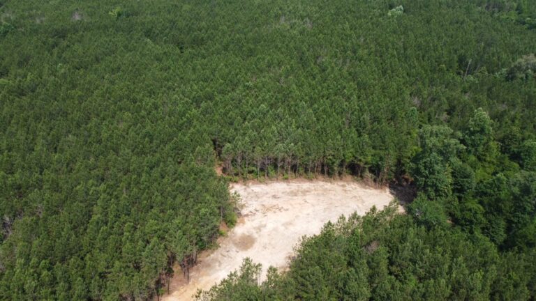 DCIM101MEDIADJI_0814