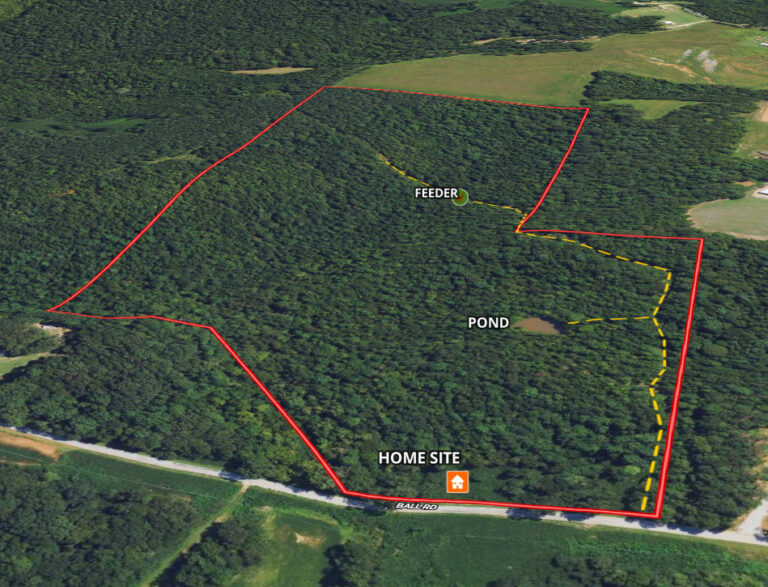 Screenshot 2024-06-20 2023342