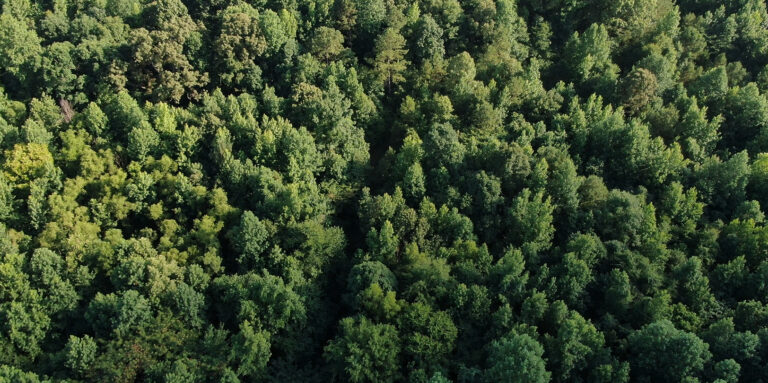 Screenshot 2024-06-20 202559