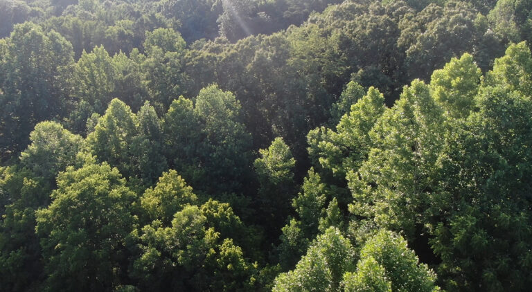 Screenshot 2024-06-20 203030