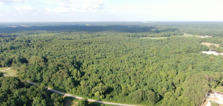 Screenshot 2024-06-21 121826