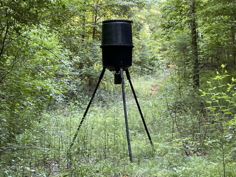 Screenshot 2024-06-21 122921