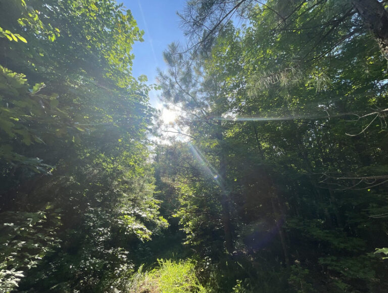 Screenshot 2024-06-21 123025