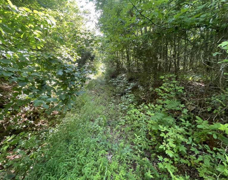 Screenshot 2024-06-21 123335