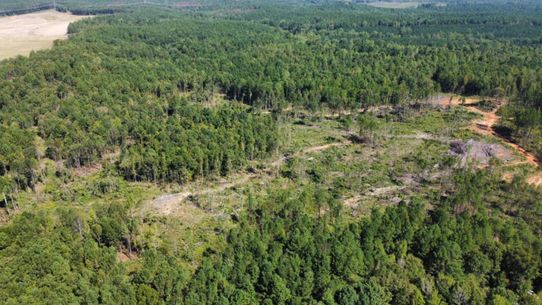 DCIM101MEDIADJI_0431