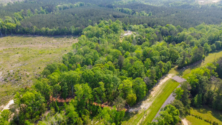 DCIM101MEDIADJI_0758