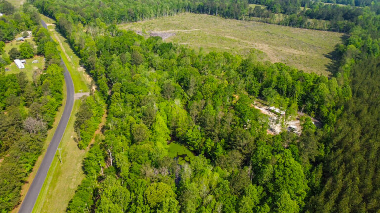 DCIM101MEDIADJI_0759