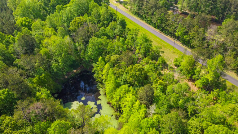 DCIM101MEDIADJI_0754