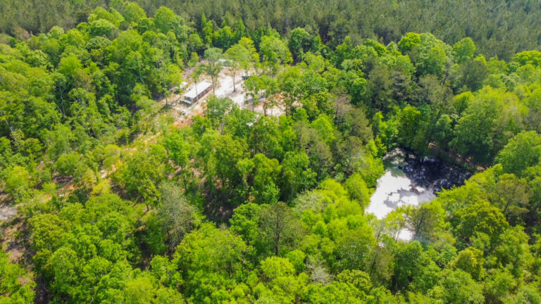 DCIM101MEDIADJI_0755