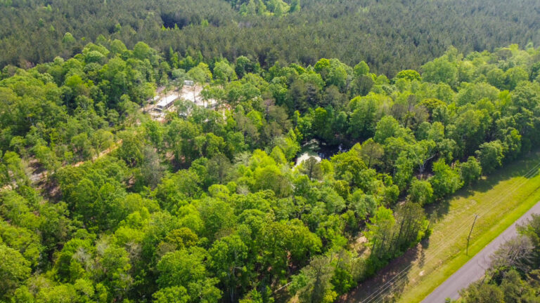 DCIM101MEDIADJI_0756